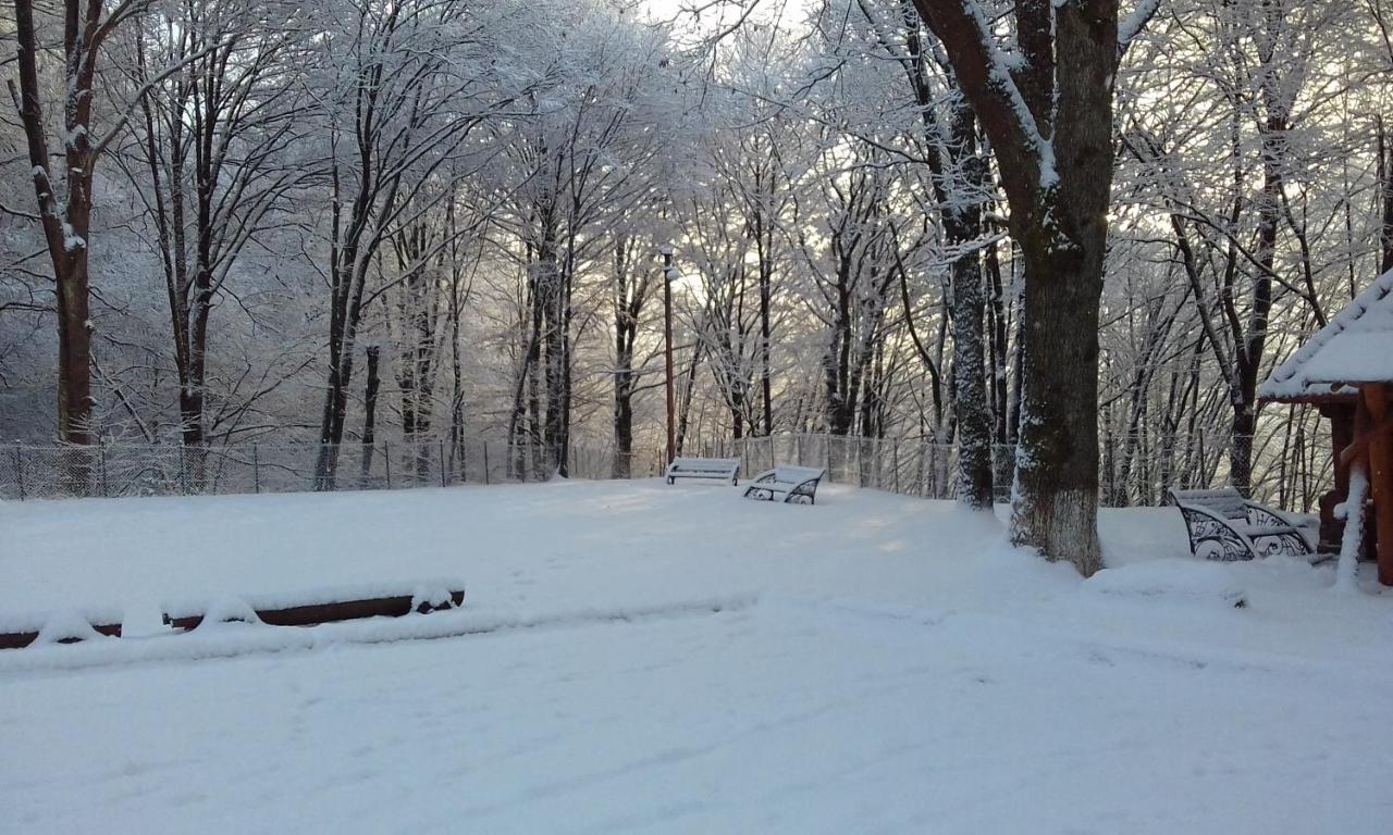 Затышок Свалява Экстерьер фото