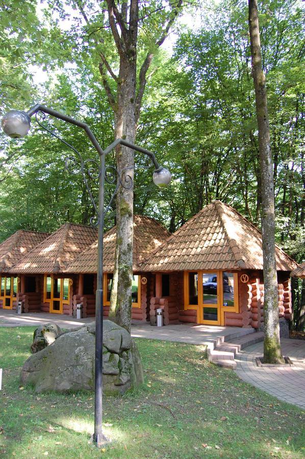 Затышок Свалява Экстерьер фото