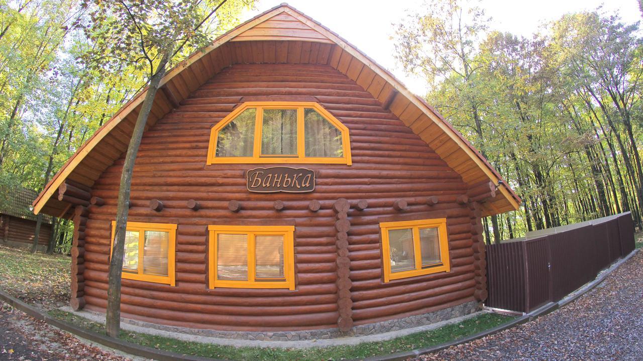 Затышок Свалява Экстерьер фото